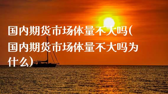 国内期货市场体量不大吗(国内期货市场体量不大吗为什么)_https://www.fcdydaikuan.com_恒生指数直播室_第1张