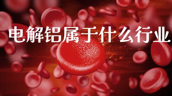 电解铝属于什么行业_https://www.fcdydaikuan.com_恒指期货直播_第1张