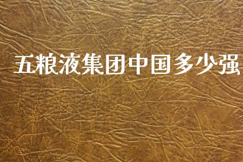 五粮液集团中国多少强_https://www.fcdydaikuan.com_德指期货直播_第1张