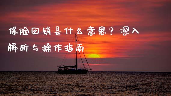 保险回销是什么意思？深入解析与操作指南_https://www.fcdydaikuan.com_恒生指数直播室_第1张
