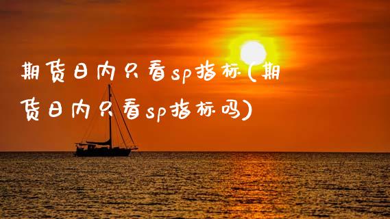 期货日内只看sp指标(期货日内只看sp指标吗)_https://www.fcdydaikuan.com_恒生指数直播室_第1张
