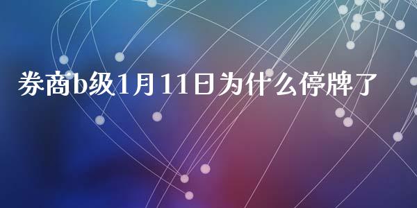 券商b级1月11日为什么停牌了_https://www.fcdydaikuan.com_黄金期货直播_第1张