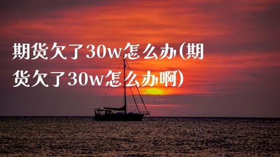期货欠了30w怎么办(期货欠了30w怎么办啊)_https://www.fcdydaikuan.com_黄金期货直播_第1张