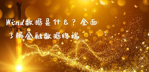 Wind数据是什么？全面了解金融数据终端_https://www.fcdydaikuan.com_黄金期货直播_第1张