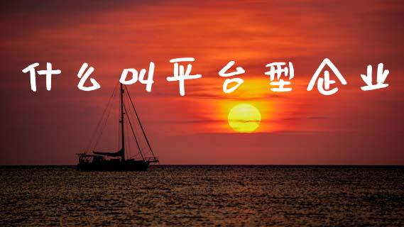 什么叫平台型企业_https://www.fcdydaikuan.com_恒指期货直播_第1张