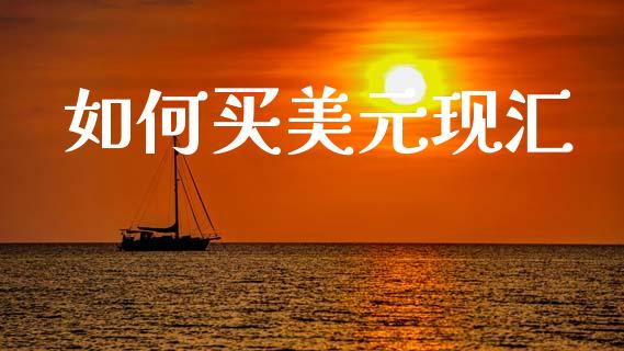 如何买美元现汇_https://www.fcdydaikuan.com_恒指期货直播_第1张