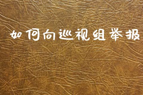 如何向巡视组举报_https://www.fcdydaikuan.com_恒生指数直播室_第1张
