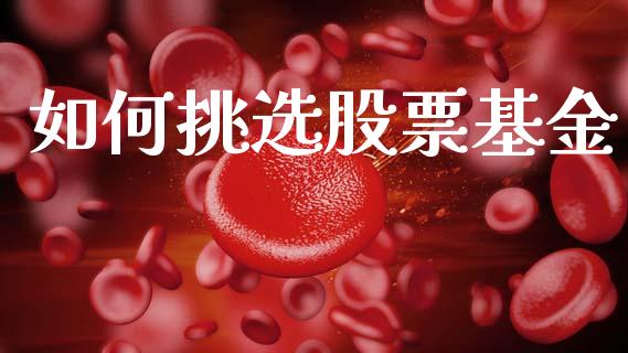 如何挑选股票基金_https://www.fcdydaikuan.com_黄金期货直播_第1张