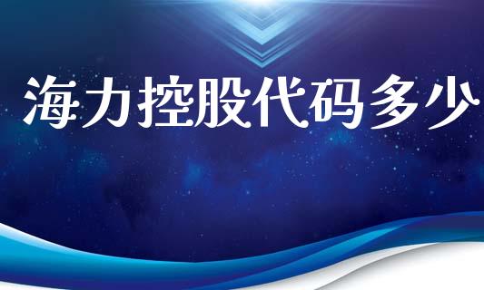 海力控股代码多少_https://www.fcdydaikuan.com_恒指期货直播_第1张