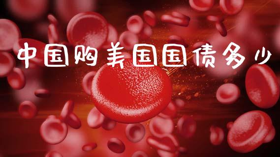 中国购美国国债多少_https://www.fcdydaikuan.com_德指期货直播_第1张