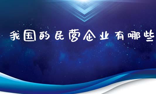 我国的民营企业有哪些_https://www.fcdydaikuan.com_黄金期货直播_第1张