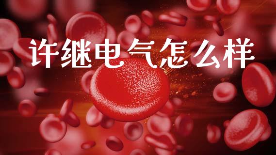 许继电气怎么样_https://www.fcdydaikuan.com_恒指期货直播_第1张