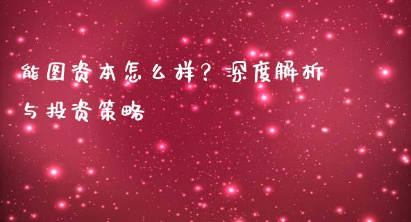 能图资本怎么样？深度解析与投资策略_https://www.fcdydaikuan.com_德指期货直播_第1张