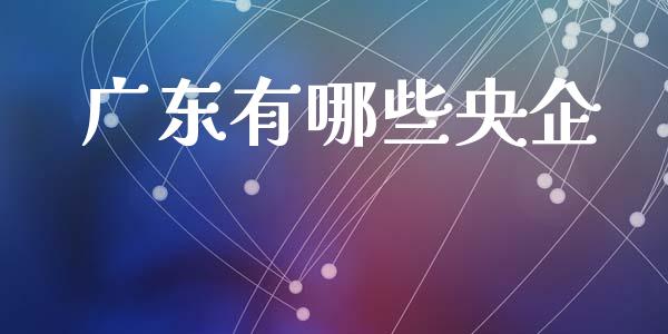 广东有哪些央企_https://www.fcdydaikuan.com_恒指期货直播_第1张