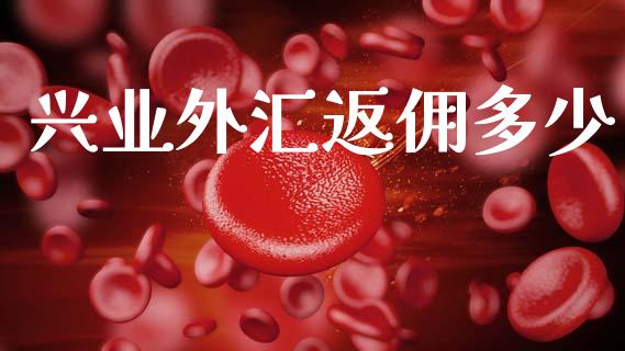 兴业外汇返佣多少_https://www.fcdydaikuan.com_黄金期货直播_第1张