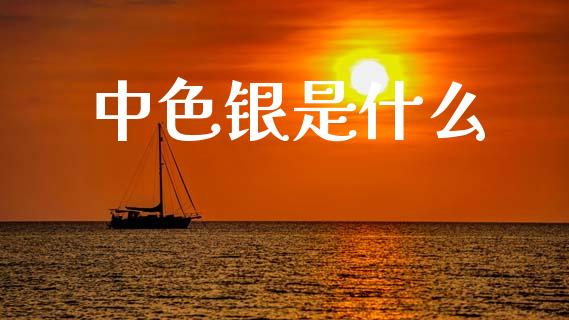 中色银是什么_https://www.fcdydaikuan.com_恒生指数直播室_第1张
