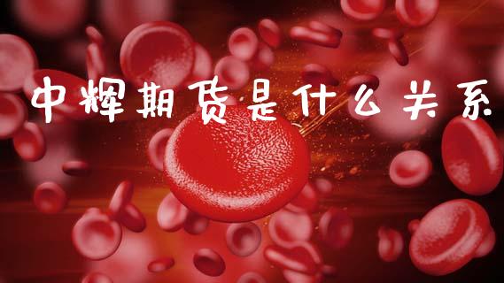 中辉期货是什么关系_https://www.fcdydaikuan.com_德指期货直播_第1张