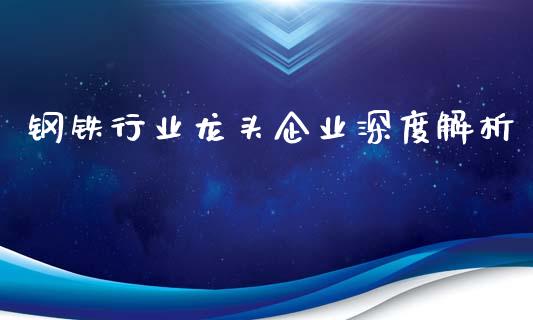 钢铁行业龙头企业深度解析_https://www.fcdydaikuan.com_黄金期货直播_第1张