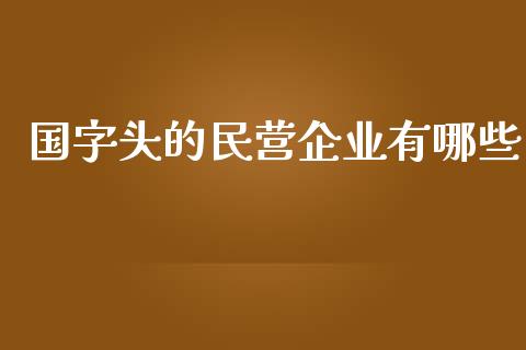 国字头的民营企业有哪些_https://www.fcdydaikuan.com_德指期货直播_第1张