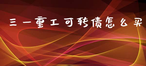 三一重工可转债怎么买_https://www.fcdydaikuan.com_黄金期货直播_第1张