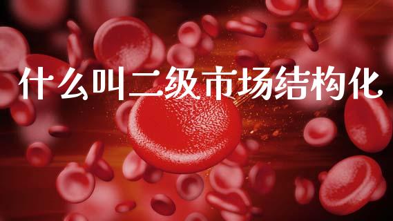 什么叫二级市场结构化_https://www.fcdydaikuan.com_恒指期货直播_第1张