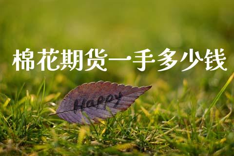棉花期货一手多少钱_https://www.fcdydaikuan.com_黄金期货直播_第1张
