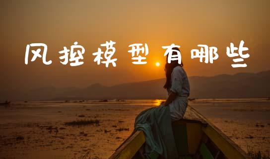 风控模型有哪些_https://www.fcdydaikuan.com_德指期货直播_第1张