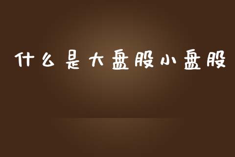 什么是大盘股小盘股_https://www.fcdydaikuan.com_恒指期货直播_第1张