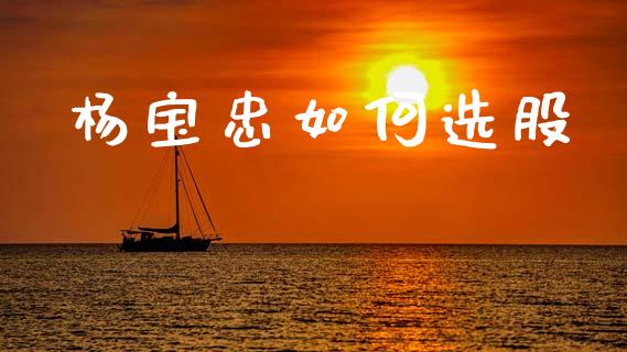 杨宝忠如何选股_https://www.fcdydaikuan.com_黄金期货直播_第1张