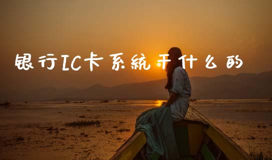 银行IC卡系统干什么的_https://www.fcdydaikuan.com_黄金期货直播_第1张