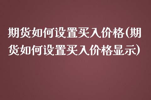 期货如何设置买入价格(期货如何设置买入价格显示)_https://www.fcdydaikuan.com_黄金期货直播_第1张