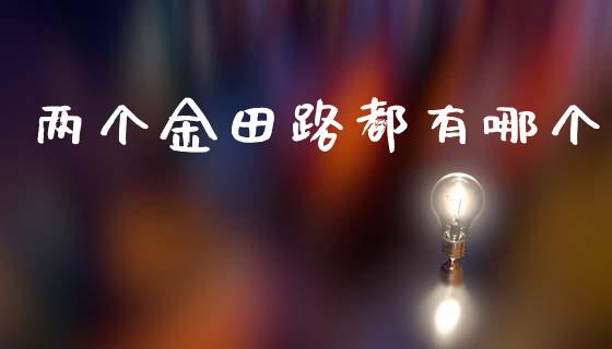 两个金田路都有哪个_https://www.fcdydaikuan.com_恒生指数直播室_第1张