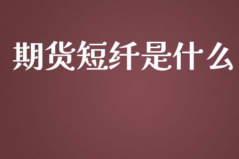 期货短纤是什么_https://www.fcdydaikuan.com_黄金期货直播_第1张