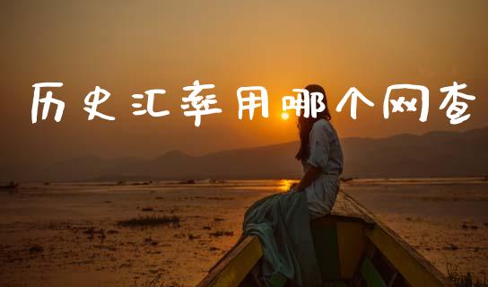 历史汇率用哪个网查_https://www.fcdydaikuan.com_德指期货直播_第1张