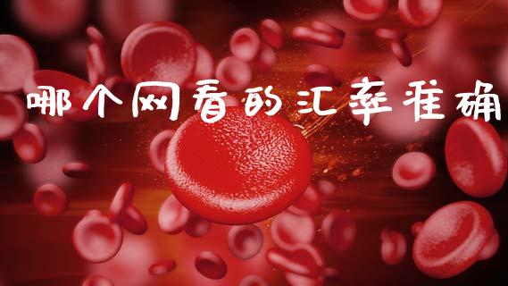哪个网看的汇率准确_https://www.fcdydaikuan.com_黄金期货直播_第1张