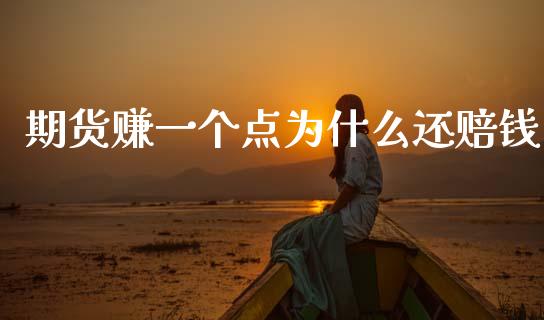 期货赚一个点为什么还赔钱_https://www.fcdydaikuan.com_恒指期货直播_第1张