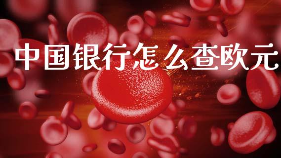中国银行怎么查欧元_https://www.fcdydaikuan.com_恒生指数直播室_第1张