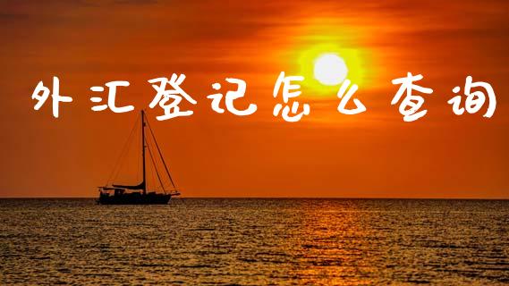 外汇登记怎么查询_https://www.fcdydaikuan.com_恒生指数直播室_第1张
