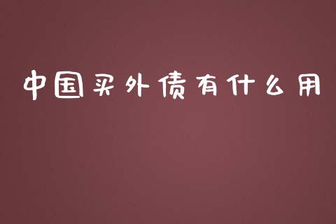 中国买外债有什么用_https://www.fcdydaikuan.com_德指期货直播_第1张